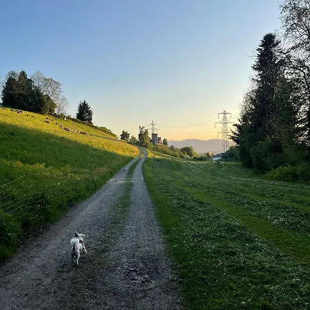 Apartamento Ws 1 Wolfurt